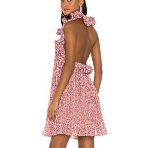 Amur Mimi Ruffled Floral-print Chiffon Mini Dress